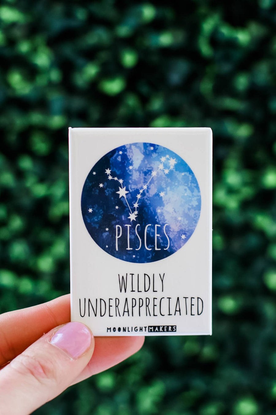 Pisces (Signs Of The Zodiac) Magnet