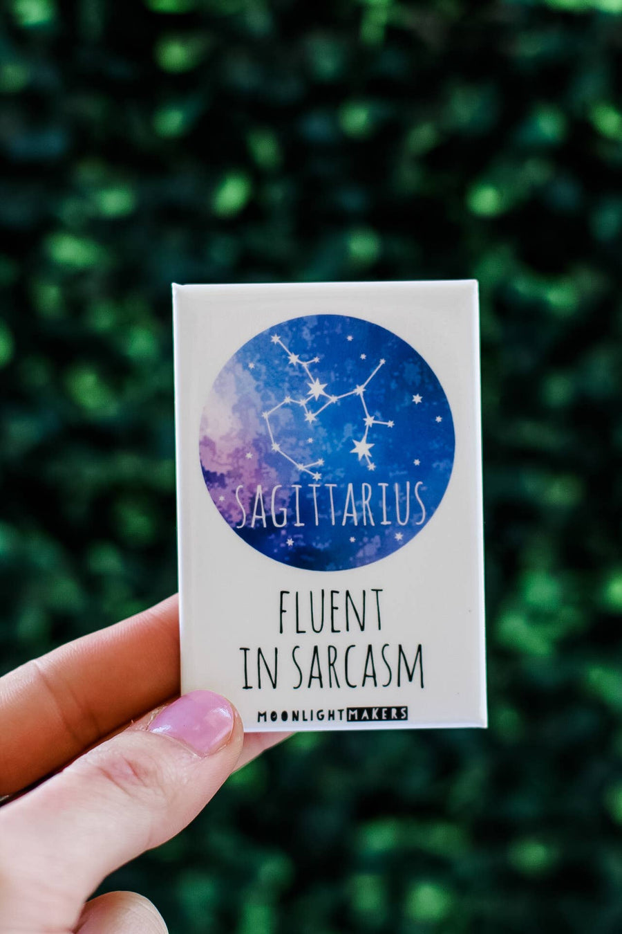 Sagittarius (Signs Of The Zodiac) Magnet
