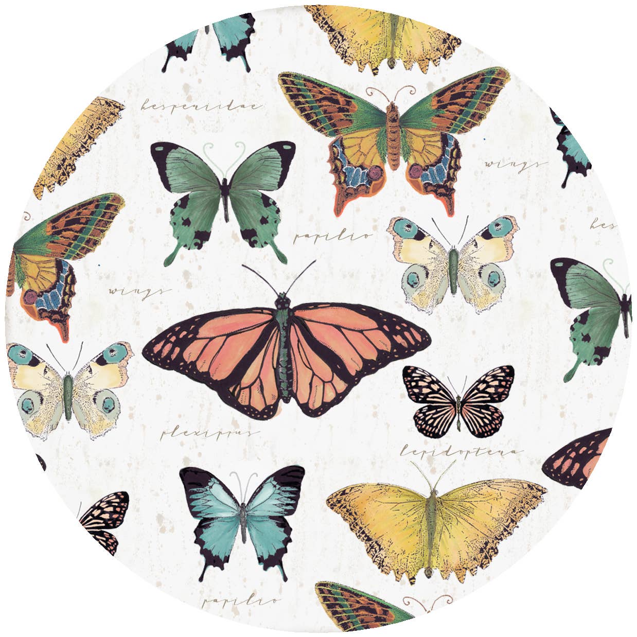 Butterflies Silicone Jar Opener