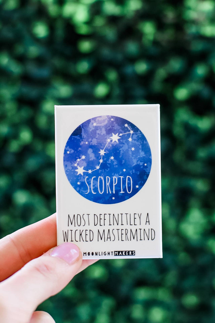 Scorpio (Signs Of The Zodiac) Magnet
