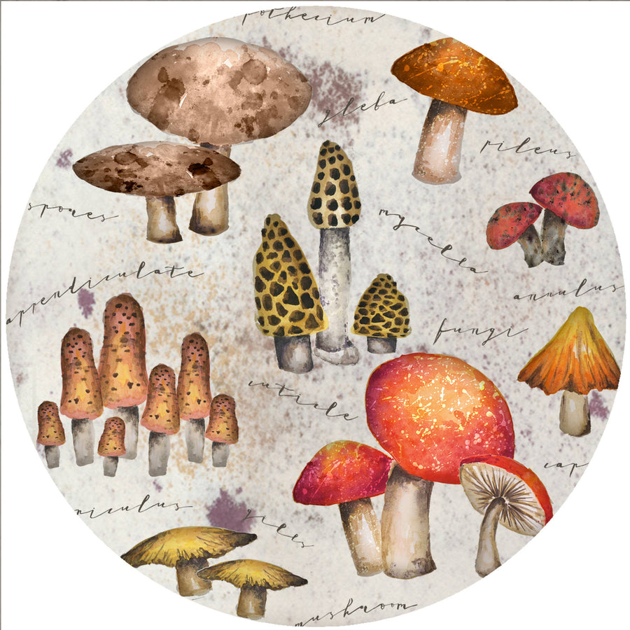 MYSTICAL MUSHROOMSILICONE JAR OPENER