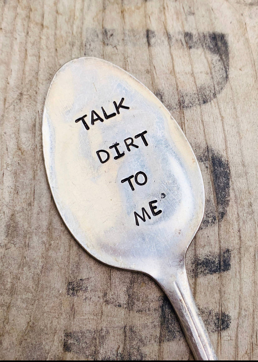 TALK DIRT TO ME SARCASTIC GARDEN PLANT STAKE