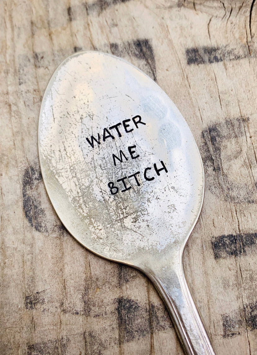 WATER ME BITCH SARCASTIC GARDEN PLANT STAKE