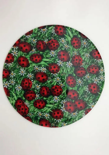 LADY BUG SILICONE JAR OPENER